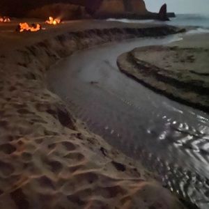 Meet your Posher, Xavier